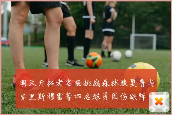 明天开拓者客场挑战森林狼夏普与克里斯穆雷等四名球员因伤缺阵