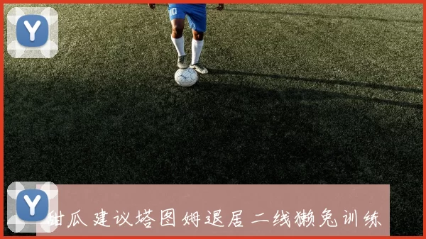 甜瓜建议塔图姆退居二线獭兔训练师反驳引发热议与争议