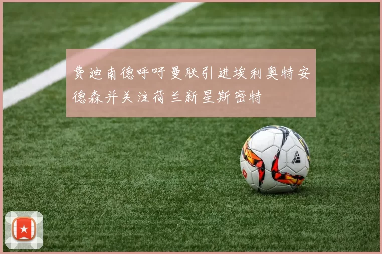 费迪南德呼吁曼联引进埃利奥特安德森并关注荷兰新星斯密特