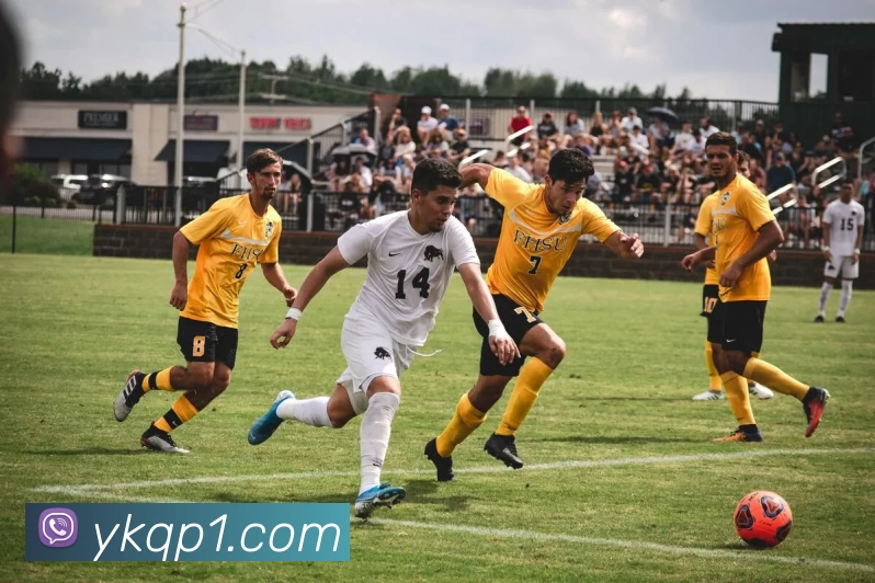 亿酷棋牌平台生态图